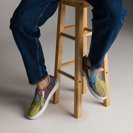 There's a Clown in the Entry - men’s slip-on canvas shoes